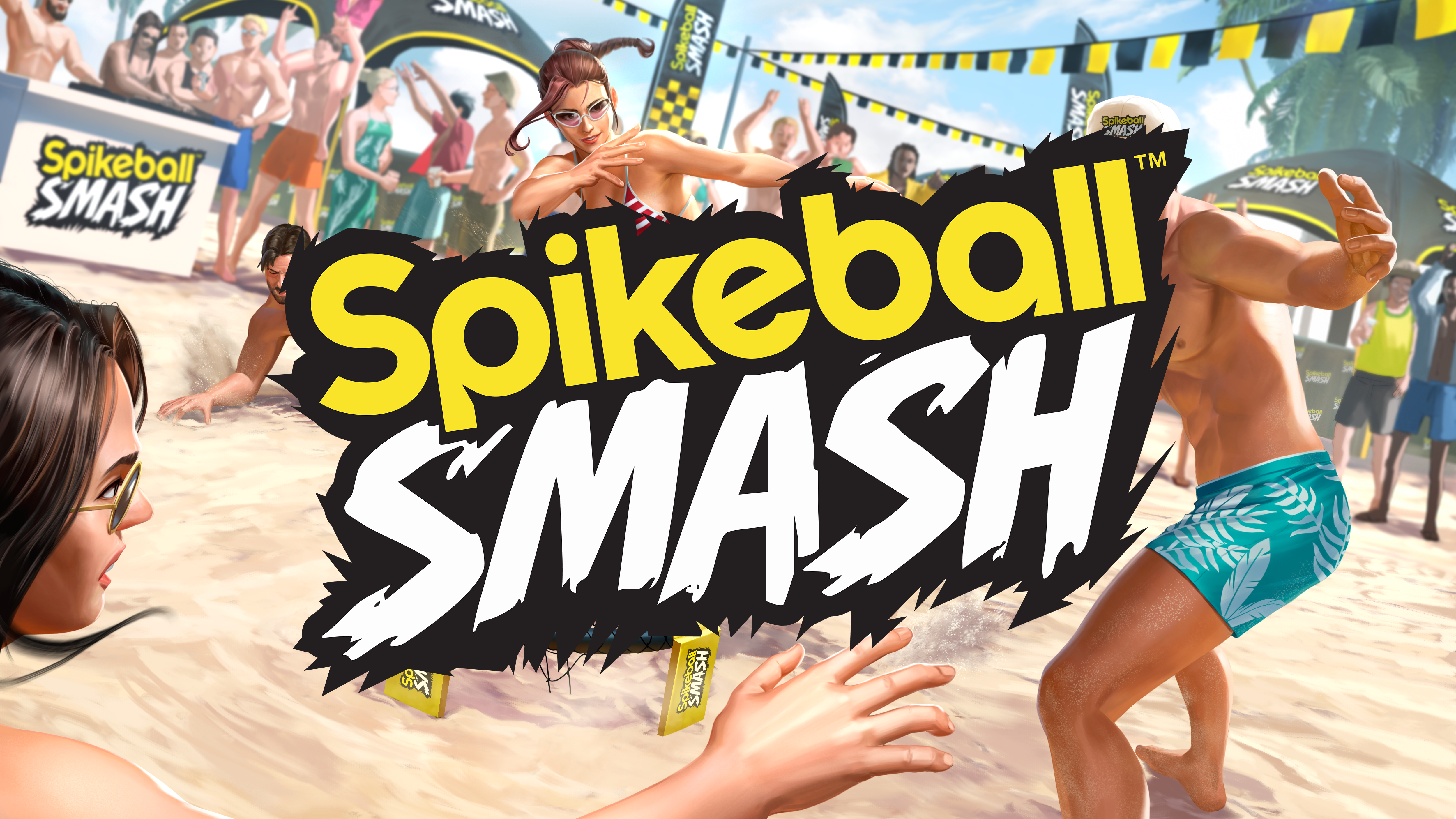 Spikeball Smash